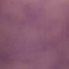 - Peppermint Solid Base
- King Purple DS Enhancer
Compare Brickform Eggplant Blush Tone Acid